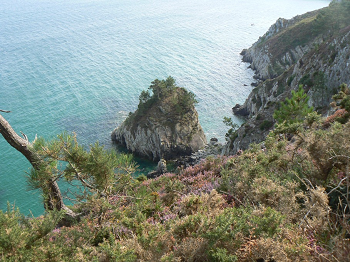 Cliquez ici pour voir l'image (crozon (19).JPG)